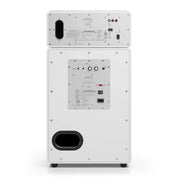 Audio Pro Drumfire II W