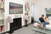 Martin Logan Foundation B2