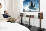 Martin Logan Foundation C1